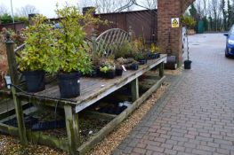 *Back to Back Display Bench with Decking Top