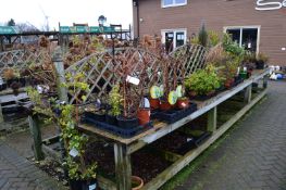 *Double Sided Display Stand with Decking Top