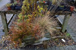 *Wooden Wheelbarrow with Plants
