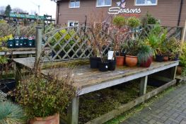 *Double Sided Garden Display Stand with Decking Top