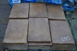 *Pallet of Old Riven Paving