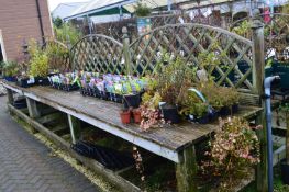 *Double Sided Display Stand with Decking Top