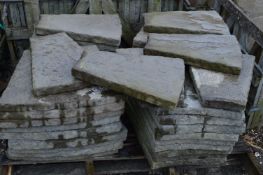 *Assorted Circle Segments