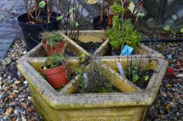 *Hexagon Segment Planter