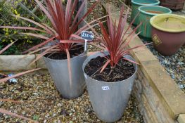*Two Grey Planters with Plants