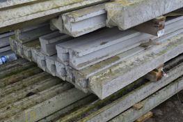 *Thirteen 8' Slotted Concrete Posts