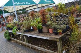 *Double Sided Garden Display Stand with Decking Top