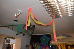 *The Kites as Displayed on Ceiling