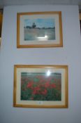 Pair of Framed Prints 