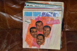 Collection of LP Records