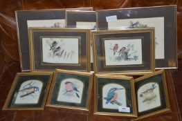 Nine Gilt Framed Bird Prints