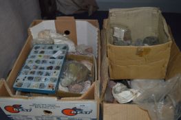 Collection of Fossils and Geological Stones