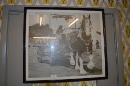 Framed Print 