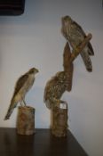 Two Stuffed Sparrowhawks and a Owl
