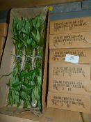 *Six Boxes Containing 6 Dozen Bunches of Artificial Bamboo