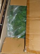 *Box Containing Green Moss