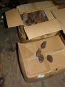 *Three Boxes of Decorative Fir Cones