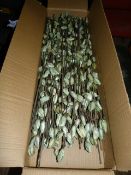 *Four Boxes Containing 100 Shola Buds (Green)