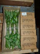 *Six Boxes Containing 6 Dozen Bunches of Artificial Bamboo