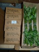 *Six Boxes Containing 6 Dozen Bunches of Artificial Bamboo