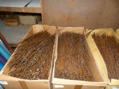 *Box Containing Assorted Loose Dried Willow
