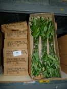 *Six Boxes Containing Three Dozen (per box) Artificial Bamboo Stems