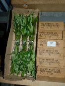 *Six Boxes Containing 6 Dozen Bunches of Artificial Bamboo