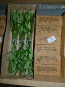 *Six Boxes Containing 6 Dozen Bunches of Artificial Bamboo