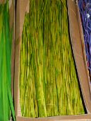 *Box Containing Bamboo Canes