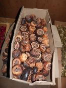 *Box Containing Dried Fruits and Nuts