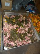 *Box Containing Assorted Bunches of Marigolds