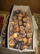 *Box Containing Dried Fruits and Nuts