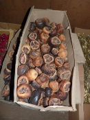 *Box Containing Dried Fruits and Nuts