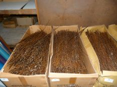 *Box Containing Assorted Loose Dried Willow