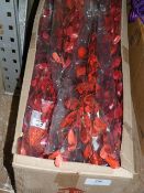 *Box Containing Red Palm Lily Displays