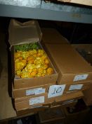 *Ten Boxed Containing a Dozen Small Ranunculus Bushes