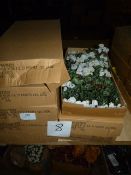 *Eight Boxes of Artificial Cyclamen Bushes