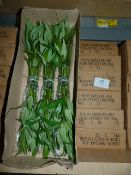 *Six Boxes Containing 6 Dozen Bunches of Artificial Bamboo