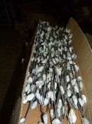 *Three Boxes Containing 100 Shola Buds (Green)