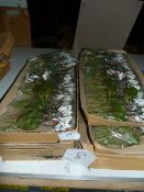 *Eight Boxes Containing Four Dozen Mini Orchid Sprays