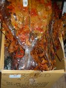 *Box Containing Trans Oak Leaves Autumn