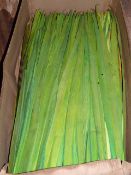 *Box of Green Dyed Leaves