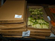 *Sixteen Boxes Containing Two Dozen Cream and Green Anthurium Sprays