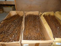 *Box Containing Assorted Loose Dried Willow