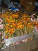 *Box Containing Assorted Bunches of Marigolds