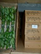 *Six Boxes Containing 6 Dozen Bunches of Artificial Bamboo