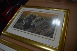 Stephen Gayford Limited Edition Print 