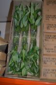 *Nine Boxes of Artificial Bamboo
