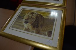 Stephen Gayford Limited Edition Print 