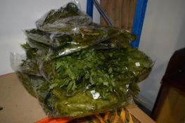 *Large Bundle of Green Dyed Oak Leaves